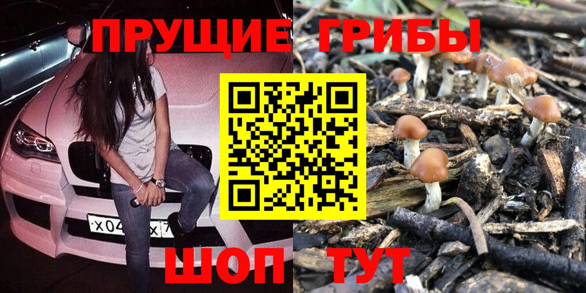 Псилоцибиновые грибы прущие грибы Орёл